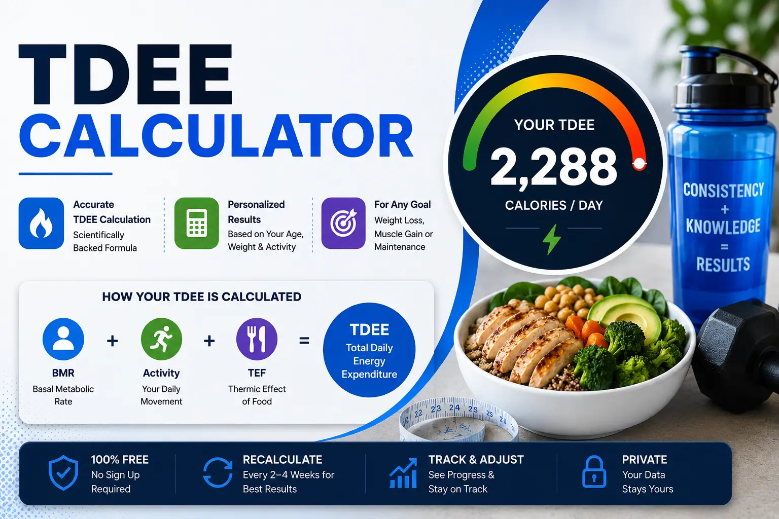 James Smith TDEE Calculator – Free Calorie & Energy Calculator 2026 1 TDEE calculator table showing activity levels and calorie multipliers from sedentary to extremely active